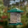 Easy View Squirrel-Proof Birdfeeder -Gardeners Sales Store 38356 01V tif