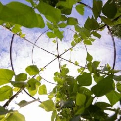 Jardin Tower 12 Jardin Tower -Gardeners Sales Store 3 4 crop 8612997 0033