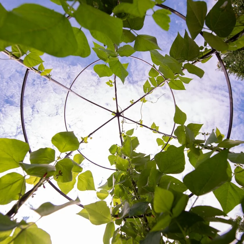 Jardin Tower 7 Jardin Tower - Image 5