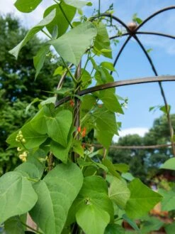 Jardin Tower 10 Jardin Tower -Gardeners Sales Store 3 4 crop 8612997 0058