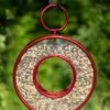 Circle Fly-Thru™ Bird Feeder With A Ruby Red Finish -Gardeners Sales Store 3 4 crop 8613383 02v circle fly thru bird feeder with a ruby red finish