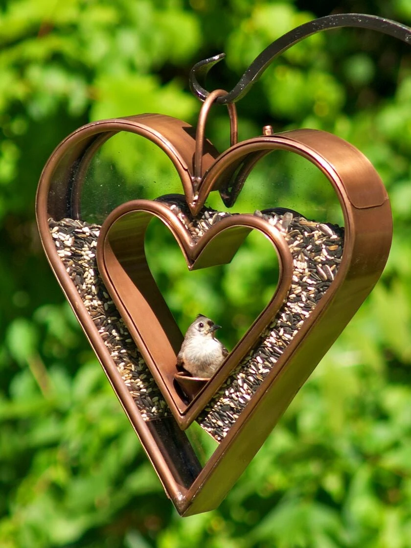 Heart Fly-Thru™ Bird Feeder 5 Heart Fly-Thru™ Bird Feeder - Image 3