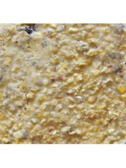 Cherry Sunflower Suet, 11.75 OZ, 12 Pack -Gardeners Sales Store 3 4 crop 8613689 04V