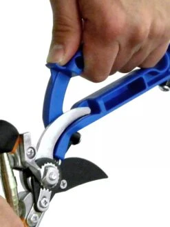 Gardeners Sales Store -Gardeners Sales Store 40507 009V tif