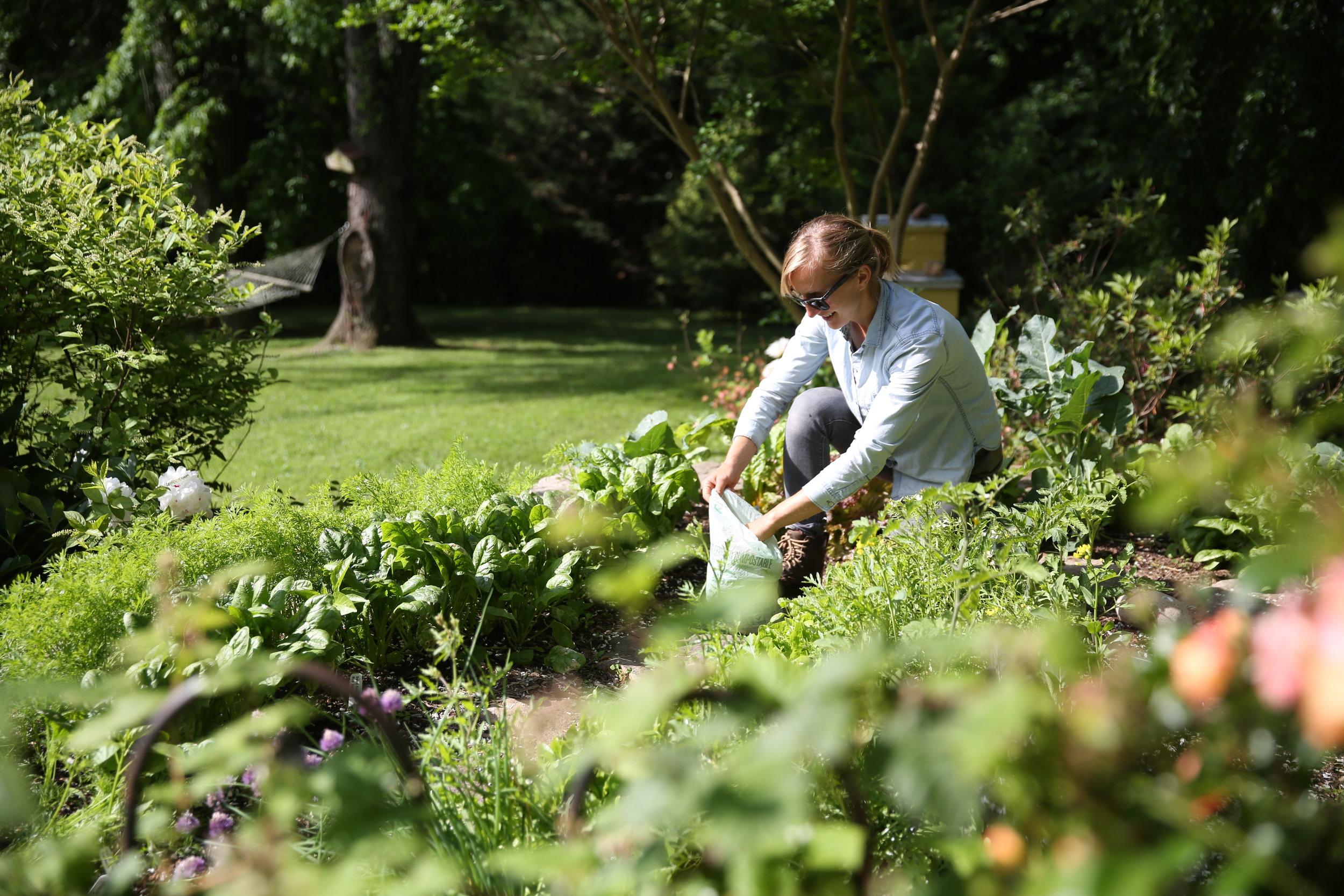 Gardeners Sales Store -Gardeners Sales Store 46