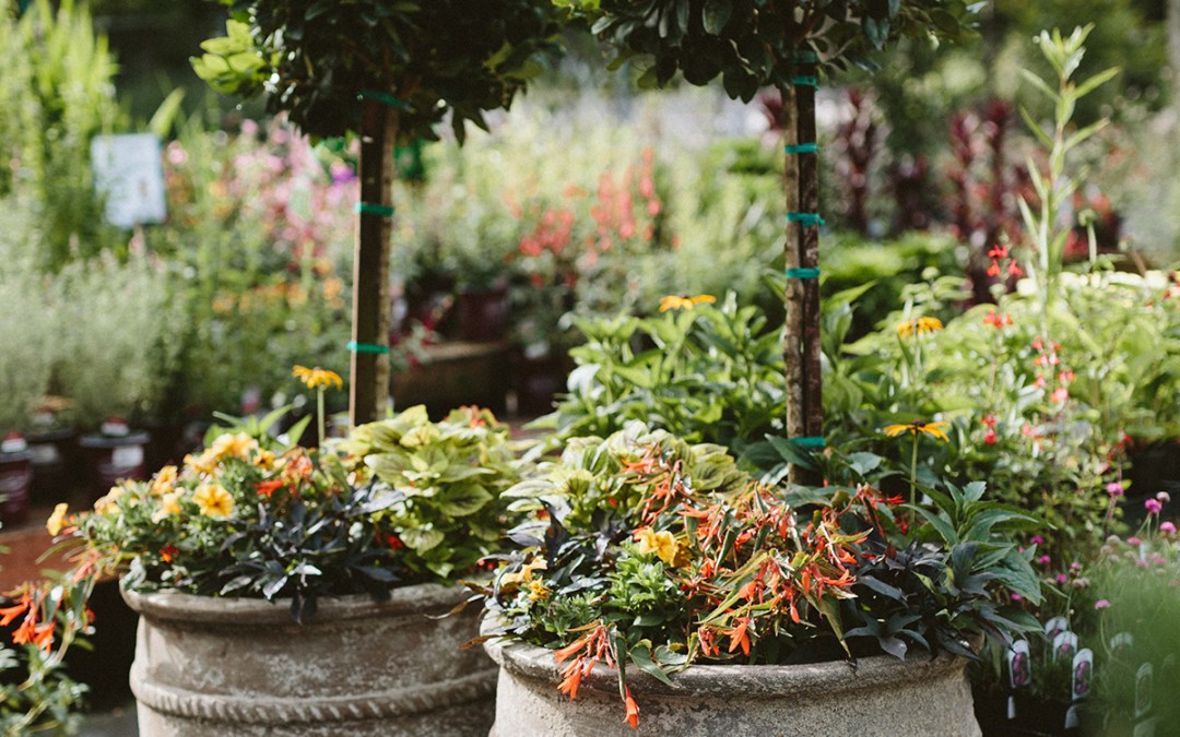 Gardeners Sales Store -Gardeners Sales Store 48