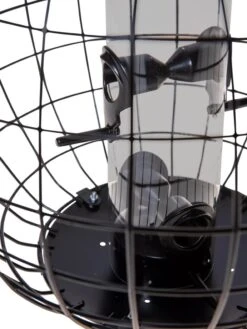 Mixed Seed Globe Cage Feeder 8 Mixed Seed Globe Cage Feeder -Gardeners Sales Store 8586659 6400