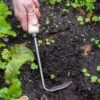 Gardener's Lifetime Cape Cod Weeder, Right-Handed -Gardeners Sales Store 8586974 2361 tif