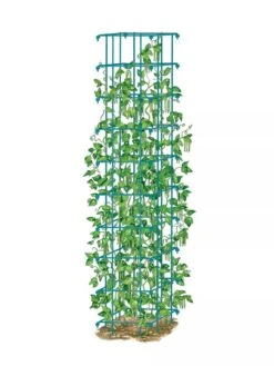 Bean Tower -Gardeners Sales Store 8587060 BeanTower BLUE