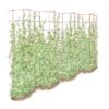Tall Expandable Pea Trellis 1 Tall Expandable Pea Trellis -Gardeners Sales Store 8587062 0001 RED tall expandable pea trelis tif