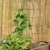 Wire A-Frame Trellis -Gardeners Sales Store 8587104 526 tif
