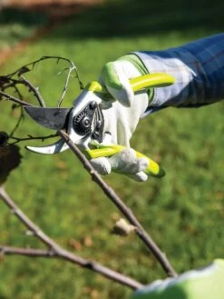 Gardener's Pro Pruner #2 -Gardeners Sales Store 8596605 032 tif