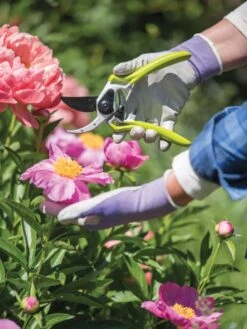 Gardener's Pro Pruner #2 -Gardeners Sales Store 8596605 1261 tif