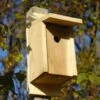 Eastern Bluebird Joy Box Bird House -Gardeners Sales Store 8597754 01V tif