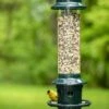 Brome ® Squirrel Buster Plus™ Bird Feeder -Gardeners Sales Store 8598916 1311 tif