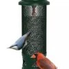Brome® Squirrel Buster™ Legacy Bird Feeder -Gardeners Sales Store 8598919 01V tif