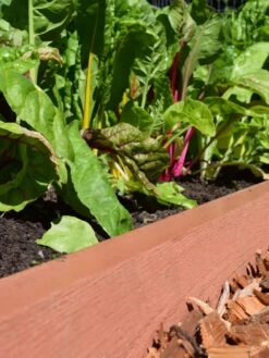 Straight Landscape Edging Kit With 2" Boards -Gardeners Sales Store 8599408 02V tif