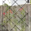 Achla Designs Freestanding Lattice Trellis 1 Achla Designs Freestanding Lattice Trellis -Gardeners Sales Store 8599475 01V tif