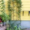 Achla Designs Waves Trellis -Gardeners Sales Store 8599491 01V tif