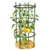 Titan Pepper Eggplant Cages, Set Of 3 -Gardeners Sales Store 8599859 0001 art tif