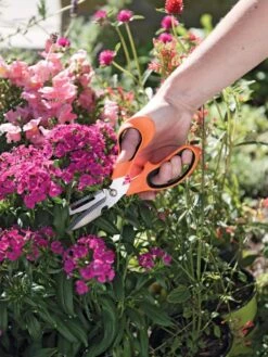 Gardener's Multi Purpose Scissors -Gardeners Sales Store 8608655 19551 tif