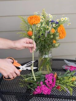 Gardener's Multi Purpose Scissors -Gardeners Sales Store 8608655 19555 tif