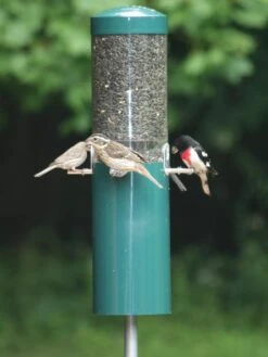 Birds Choice™ Feeder With Squirrel Baffle & Pole