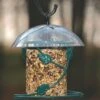 Birds Choice Hanging Seed Cylinder Bird Feeder -Gardeners Sales Store 8608763 01v birds choice hanging seed cylinder bird feeder