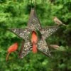 Star Fly-Thru™ Bird Feeder -Gardeners Sales Store 8609057 04v star fly thru bird feeder good directions