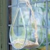 Dewdrop Window Bird Feeder -Gardeners Sales Store 8609061 02V tif