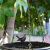 Floral Motif Hanging Birdbath -Gardeners Sales Store 8610562 02v twin bird floral hanging birdbath