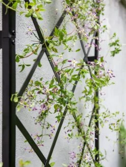 Lattice Gable Wall Trellis -Gardeners Sales Store 8611130 011