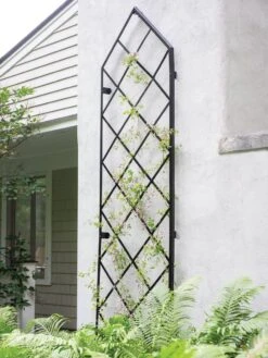 Lattice Gable Wall Trellis