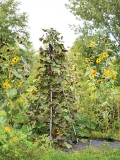 DIY Connector For Teepee Trellis -Gardeners Sales Store 8611896 062 tif