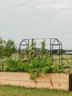 Gardeners Sales Store -Gardeners Sales Store 8612035 549 tif