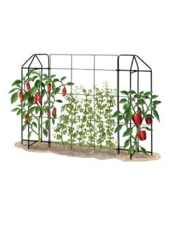 Zenith Trellis -Gardeners Sales Store 8612035 art tif