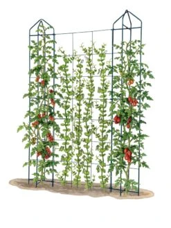 Zenith Trellis -Gardeners Sales Store 8612036 art tif