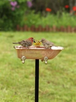 Copper Bathtub Birdbath -Gardeners Sales Store 8612202 01v copper bathtub birdbath