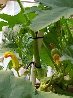 Farmyarn® Multipurpose Garden Tie, 2 Pack -Gardeners Sales Store 8612948 01v