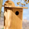 Spruce Creek Bluebird House -Gardeners Sales Store 8613212 03v spruce creek bluebird house
