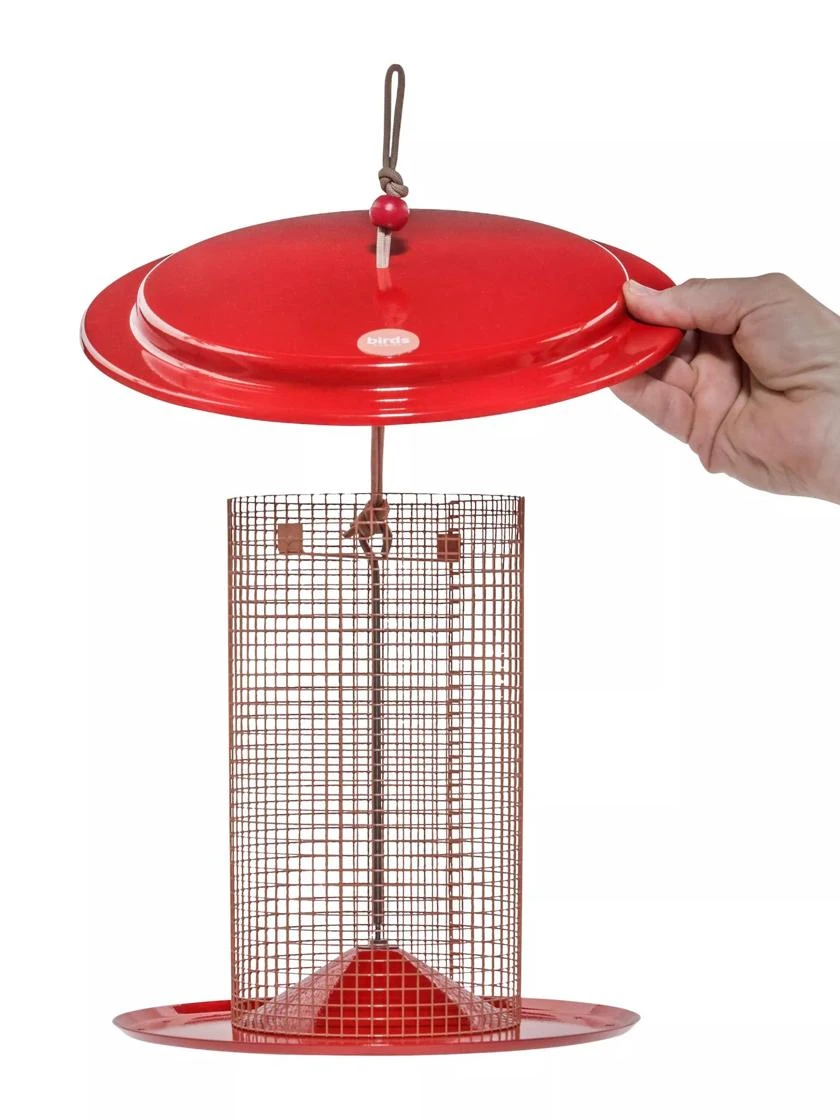 Color Pop Sunflower Seed Bird Feeder 4 Color Pop Sunflower Seed Bird Feeder - Image 2