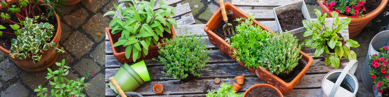 Gardeners Sales Store -Gardeners Sales Store 92