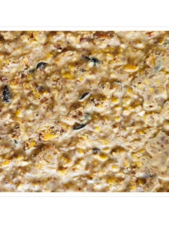 Peanut Apple Suet, 11.75 OZ, 12 Pack -Gardeners Sales Store webimage 8613690 04V